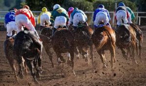 horse racing tips and mistakes