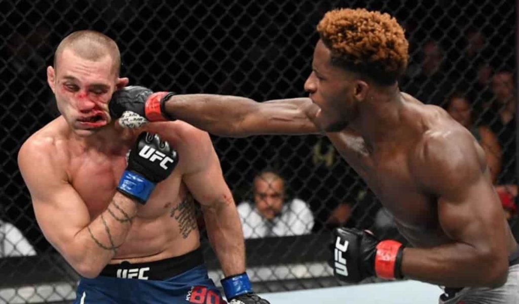 Hakeem Dawodu ufc fight
