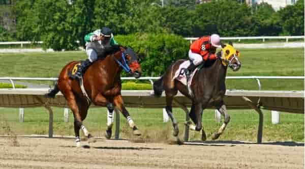A Beginner’s Guide to Kentucky Derby Betting at Churchill Downs