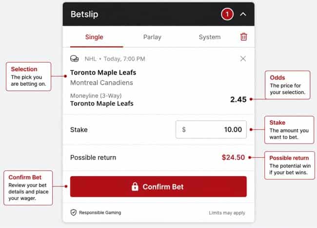Annotated sportsbook betslip example showing the selection, odds, stake amount, possible return and confirm bet button.