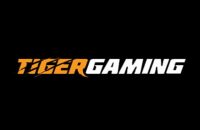 tiger gaming logo